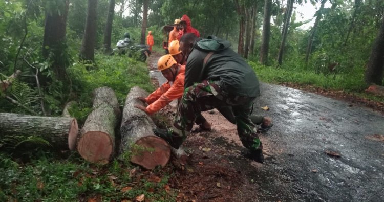 Babinsa Bersama Unsur Dinas Terkait Bersinergi Membersihkan Pohon Tumbang Yang Menutup Akses Jalan Umum