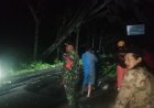 Pohon Tumbang di Magetan: Babinsa dan Warga Sigap Bersihkan Akses Jalan