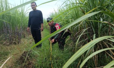 Bersama Aparat Desa Bati Komsos bersama Babinsa Koramil 13 Bendo Kawal Pengukuran Lahan Koperasi Merah Putih di Desa Soco
