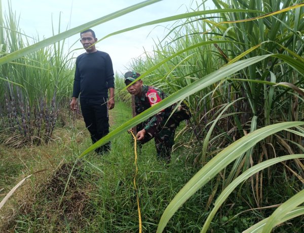 Bersama Aparat Desa Bati Komsos bersama Babinsa Koramil 13 Bendo Kawal Pengukuran Lahan Koperasi Merah Putih di Desa Soco