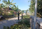 Babinsa Koramil 0804-12/ Lembeyan Bersama Warga Masyarakat Melakukan Karya Bhakti Pembersihan Pohon Dan Ranting