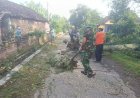 Babinsa 0804/13 Bendo bersama BPBD Magetan Gerak Cepat Bantu Evakuasi Pohon Tumbang